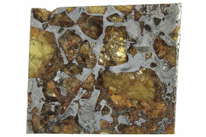 Brahin Pallasite Meteorite ( g) Slice - Belarus #307382